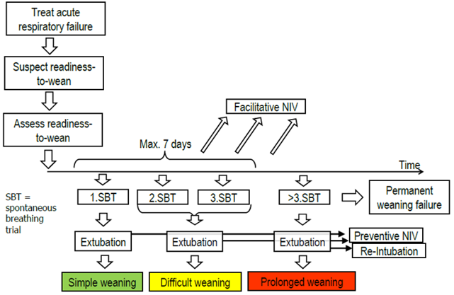 Mechanical Ventilation Covid 19 The Course Of Weaning