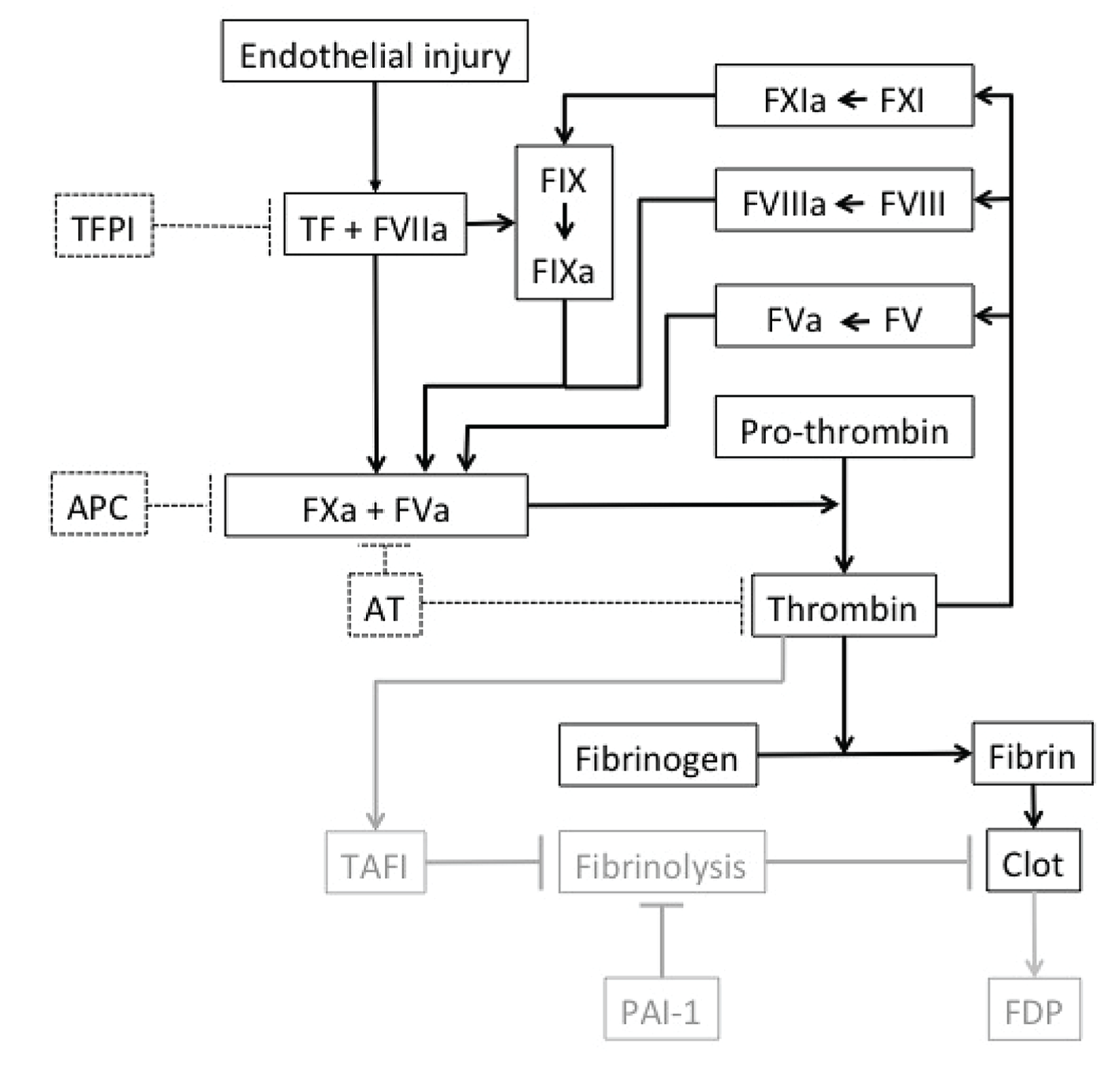 Disseminated Intravascular Coagulation Covid 19 Normal Coagulation Cascade